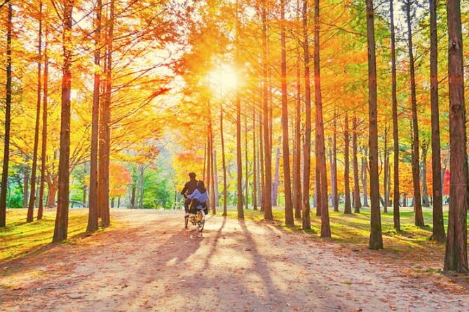 Nami Island & Strawberry Picking and Jam Making & Railbike - Pricing Information