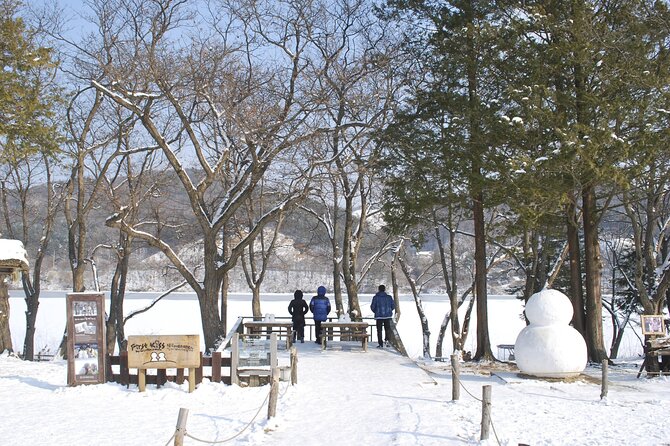 Nami Island & Strawberry Trip With the Garden & Opt. Alpaca World - Transportation Details