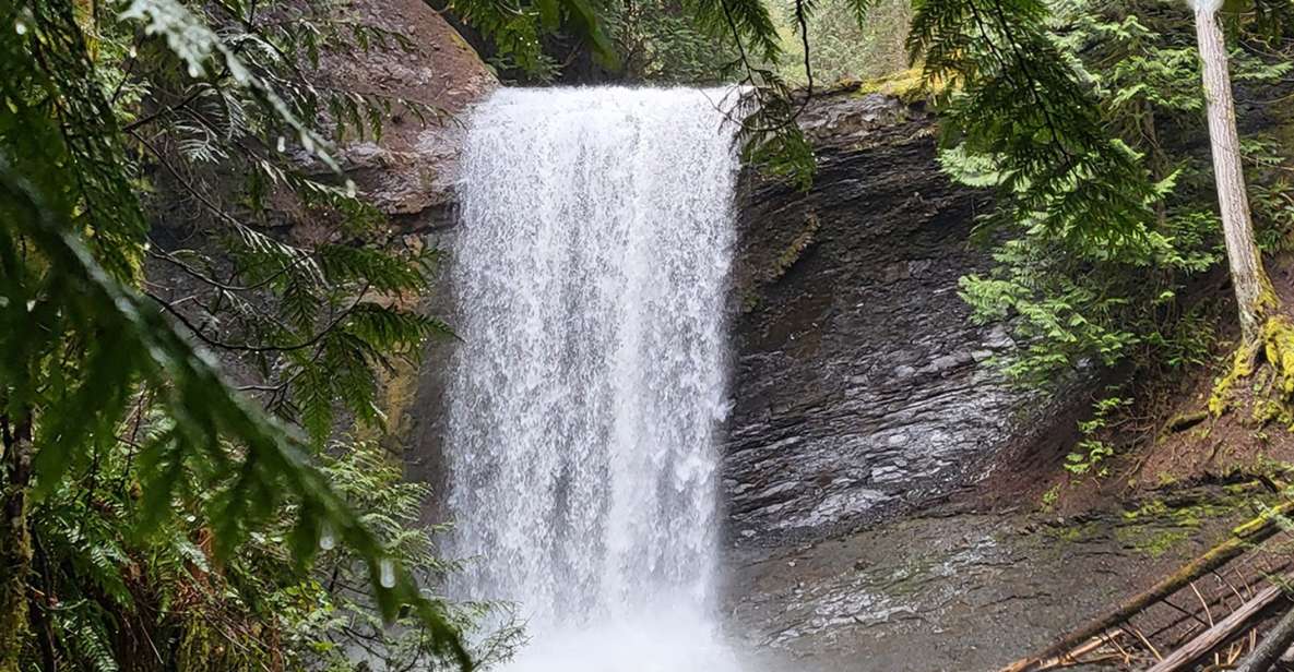 Nanaimo: Vancouver Island Waterfalls, Vistas, Hikes & Caves - Local Roastery Lunch Break