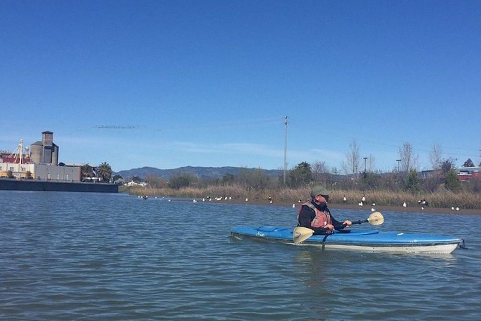 Napa Valley: Napa River Kayak Rental - Wildlife Spotting