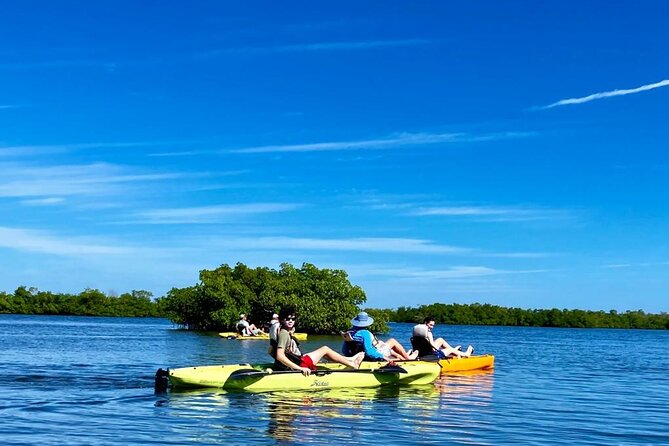 Naples, FL Hobie Kayak With Pedals in Mangrove Tunnels - Important Reminders