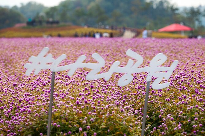 Nari Park, Pink Muhly Grass, Dumulmeori Day Tour (Free Hot Dog!) - Inclusions and Exclusions