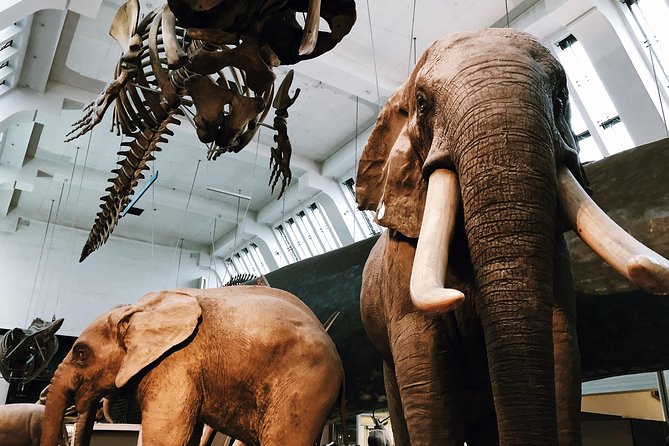 Natural History Museum London - Private Guided Museum Tour - Cancellation Policy Details