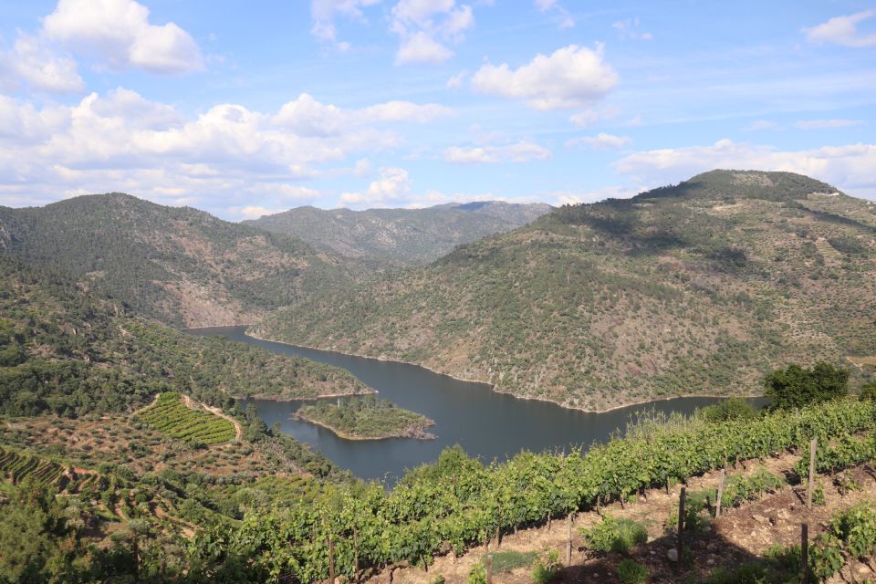 Natural Organic Wine Tastings / Farm Visit in Douro Valley - Inclusions