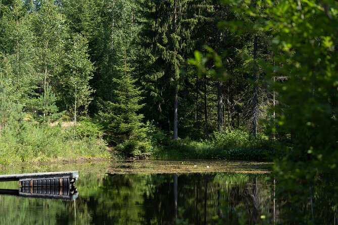 Nature Singing in Forest Studio Mustikkarinne - Immerse Yourself in Musical Serenity