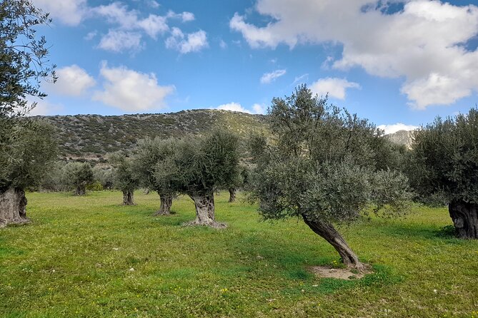 Naxos: Countryside Hike Among Villages & Byzantine Churches - Tour Schedule and Capacity