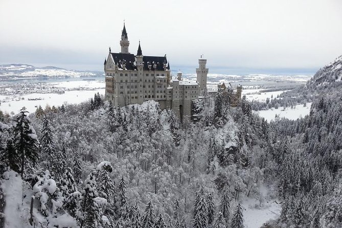 Neuschwanstein Castle and Christmas Market Tour From Munich - Common questions