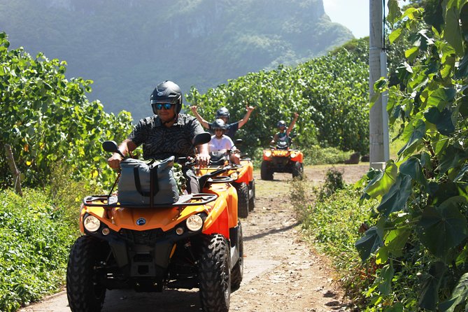 New!!! ATV TOURS With a Local Tour Guide From Bora Bora - Small-Group Personalized Experience
