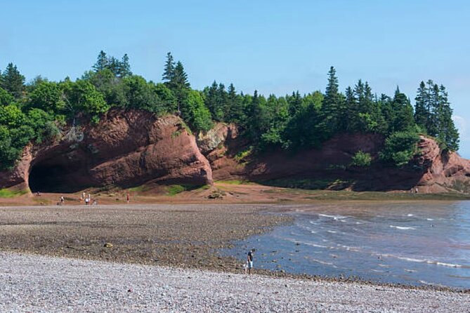 New Brunswick Shore Excursion: Bay of Fundy and More Highlights Tour - Additional Information