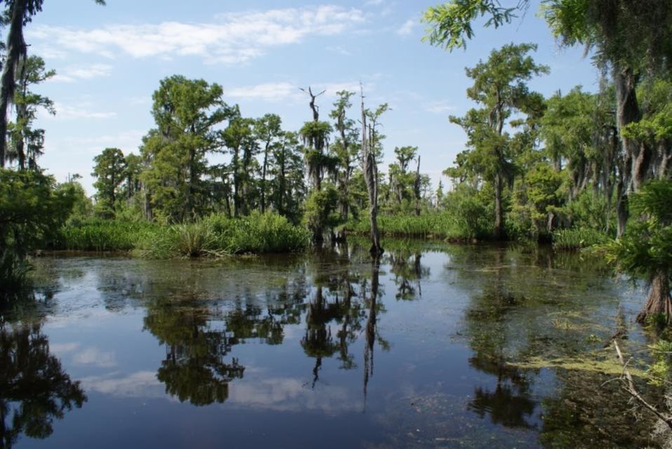 New Orleans: High Speed 16 Passenger Airboat Ride - Review Summary