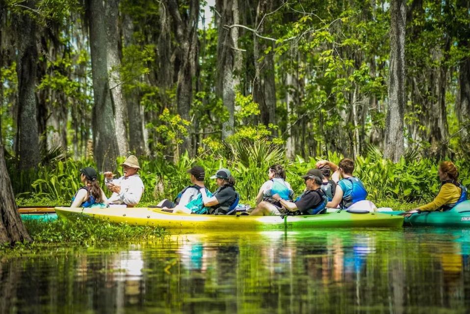 New Orleans: Manchac Magic Kayak Swamp Tour - Inclusions