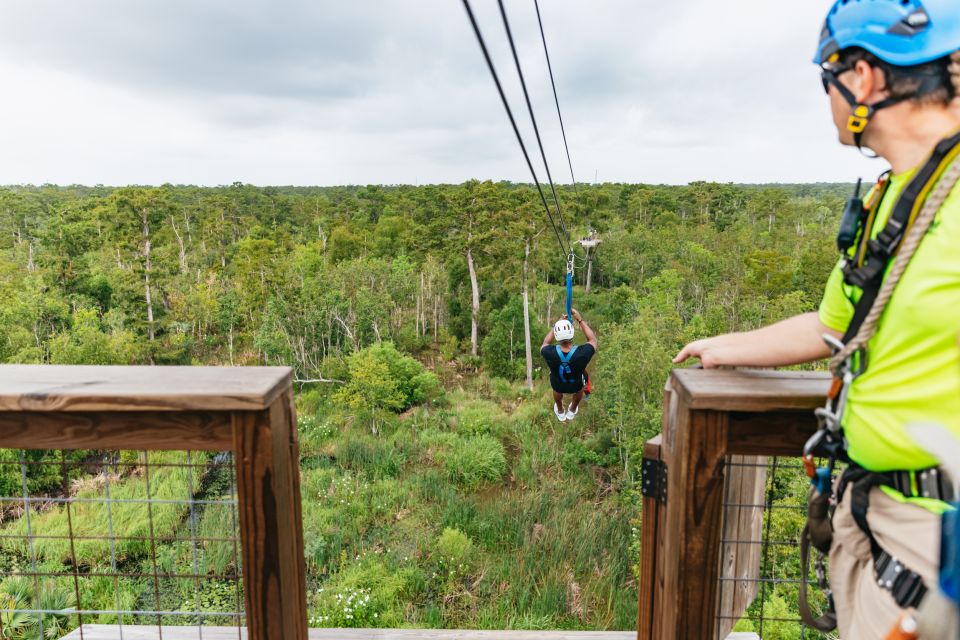 New Orleans: Swamp Zipline Tour - Review Summary