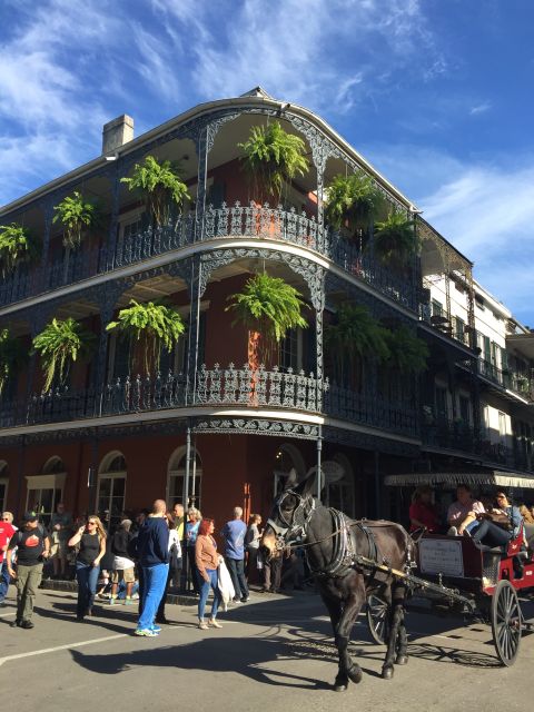 New Orleans: Traditional City and Estate Tour - Service Ratings