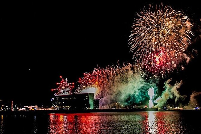 New Years Fireworks by Boat From Reykjavik - Additional Information Provided