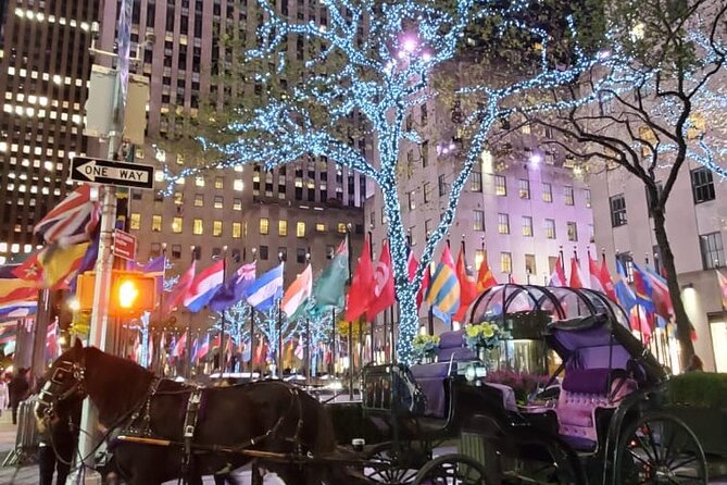 New York City Christmas Lights Private Horse Carriage Ride - Additional Details and Traveler Photos