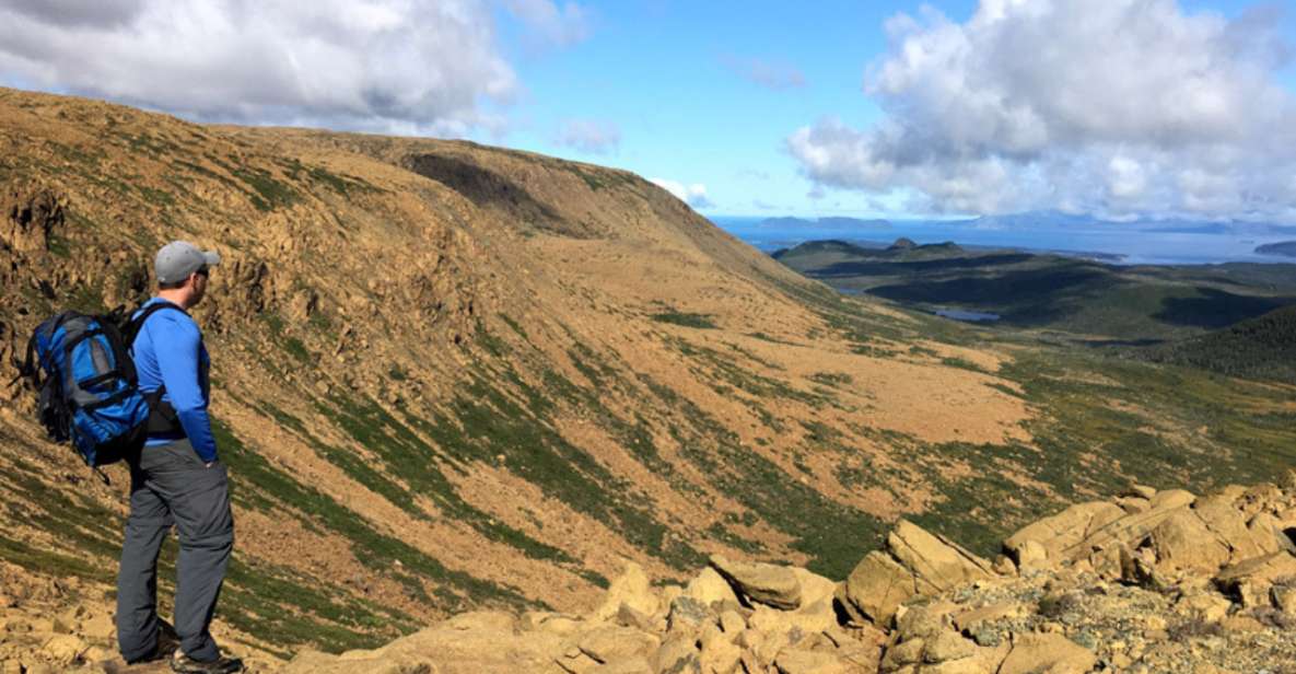 Newfoundland: Blow Me Down Mountains Half Day Hiking Tour - Cancellation Policy