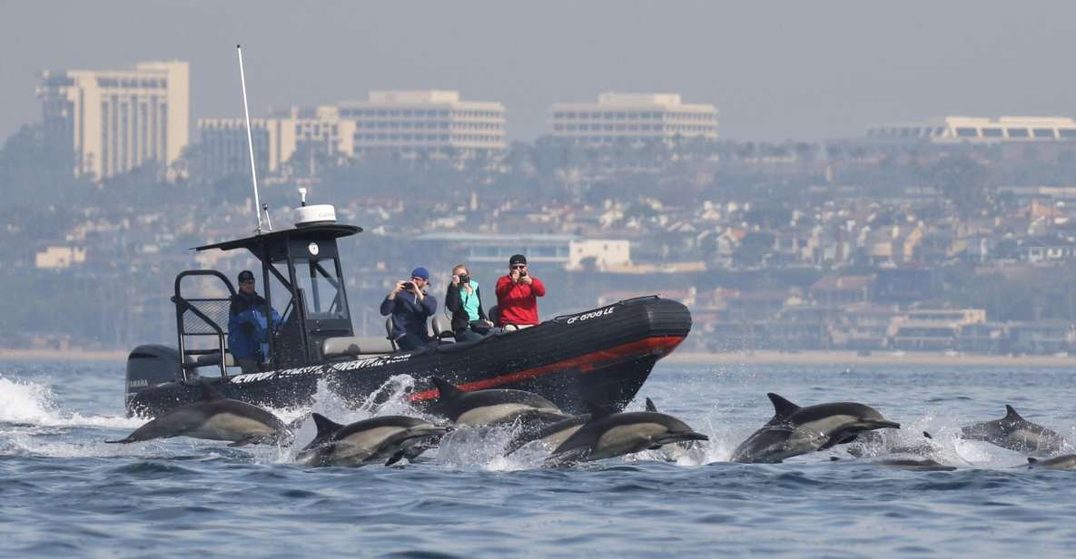 Newport Beach: Ultimate Whale Watching Adventure - Customer Reviews