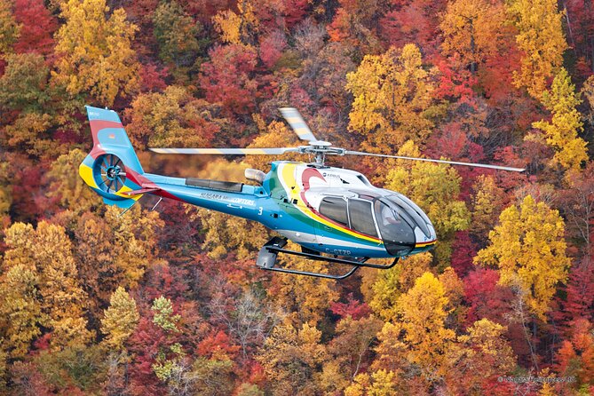 Niagara Falls CANADA Helicopter Tour - Safety Measures