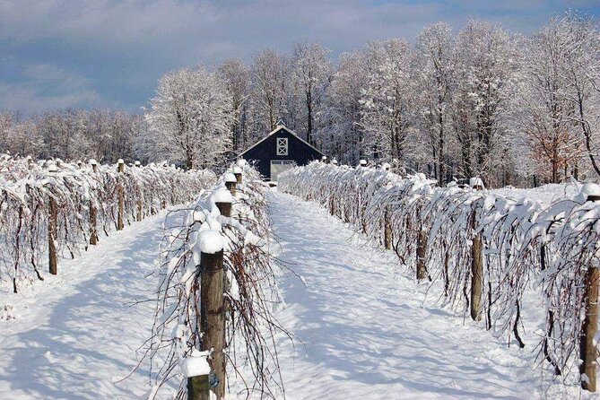 Niagara-on-the-Lake Wine Tasting Tour Including Transport  - Niagara Falls & Around - Special Wine Experiences