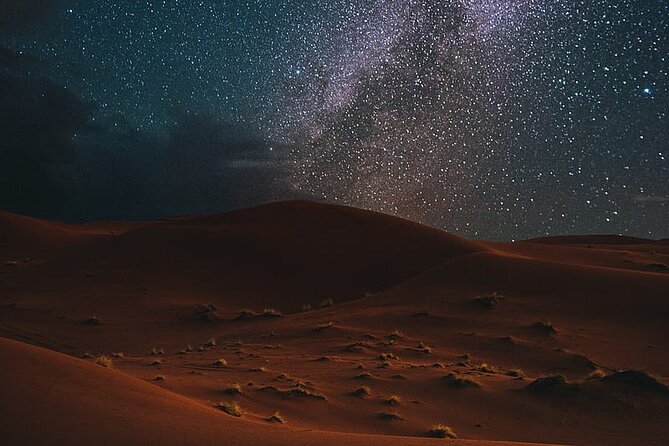 Night Desert Safari, Stargazing, Dune Driving & Inland Sea Visit - Safety Precautions