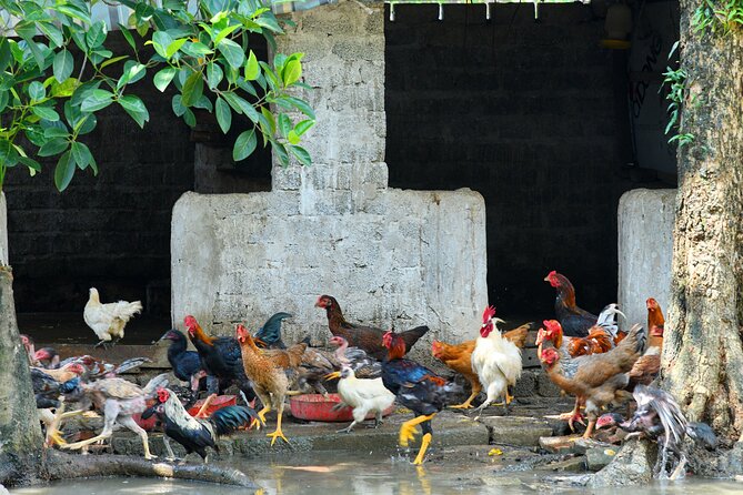 Ninh Binh 2 Days 1 Night Tour From Hanoi (Small Group of 9) - Pricing Details