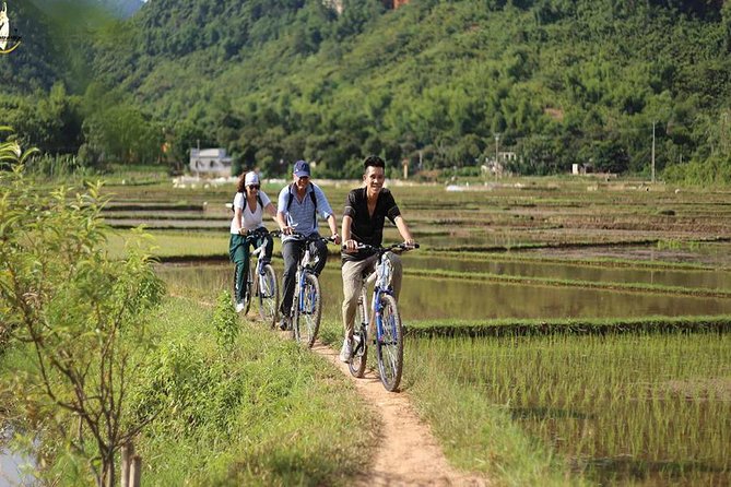 NINH BINH MEMORABLE DAY: Hoa Lu, Mua Cave, Boat Trip Tam Coc, Trang an Optional - Traveler Reviews