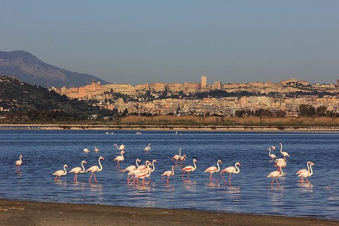 Nora Tour From Cagliari - Logistics and Meeting Point