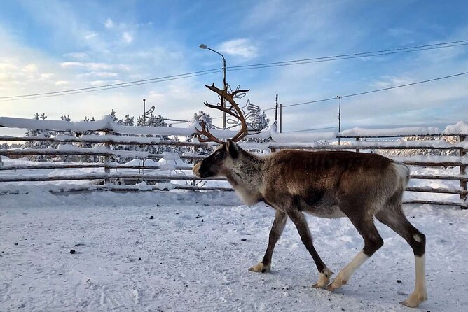 Nordic Winter Multi Day Getaway - Guided Tours and Transportation Included