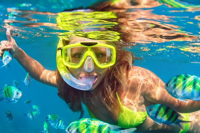 North Bay Snorkel - Booking and Reservation Details