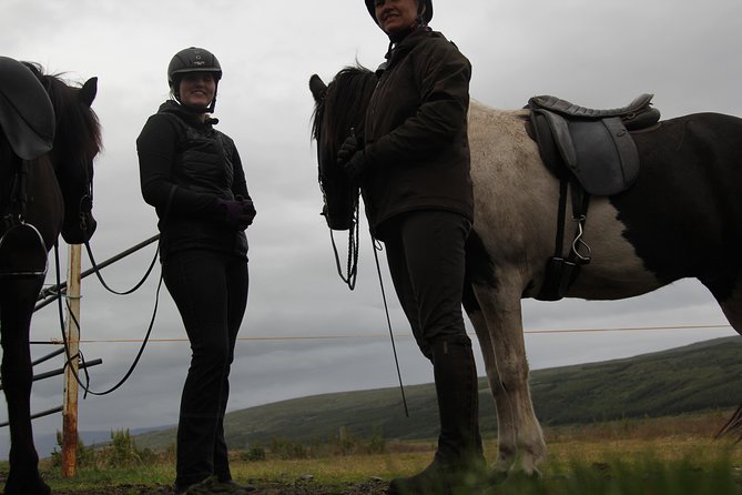 North Iceland: Horseback Riding Tour  - Akureyri - What to Bring