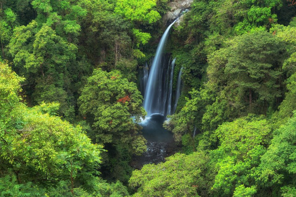 North Lombok: Sendang Gile Waterfall & Senaru Village Tour - Experience Highlights