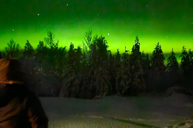 Northern Lights Aurora From Kemi With Pickup - Traveler Expectations