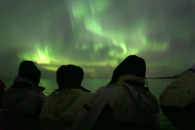 Northern Lights by Boat With a Backup Plan From Reykjavik - Meeting and Logistics Information