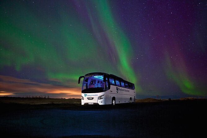 Northern Lights Guided Bus Tour From Reykjavik - Weather and Preparation