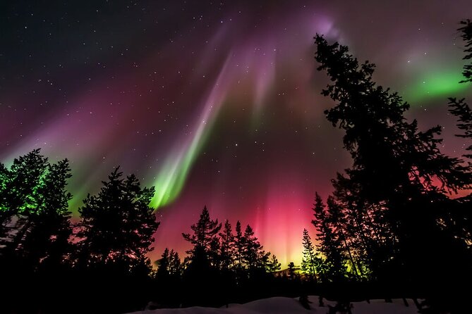 Northern Lights Hunt From Rovaniemi With Folk Tales and Snacks Over Campfire - Pricing