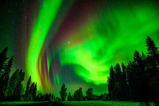 Northern Lights Hunting Adventure in Lapland - Reviews and Ratings