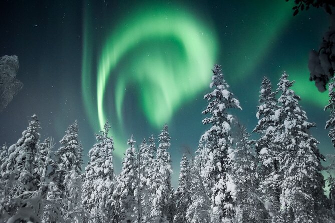 Northern Lights Sleigh Ride With Campfire Picnic - Additional Important Information