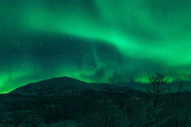 Northern Lights Tour From Kiruna to Abisko With Dinner - Guide Expertise