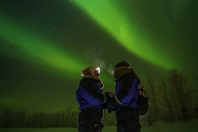 Northern Lights Tour to Lake Inari From Ivalo, Reindeers & Dinner - Customer Reviews