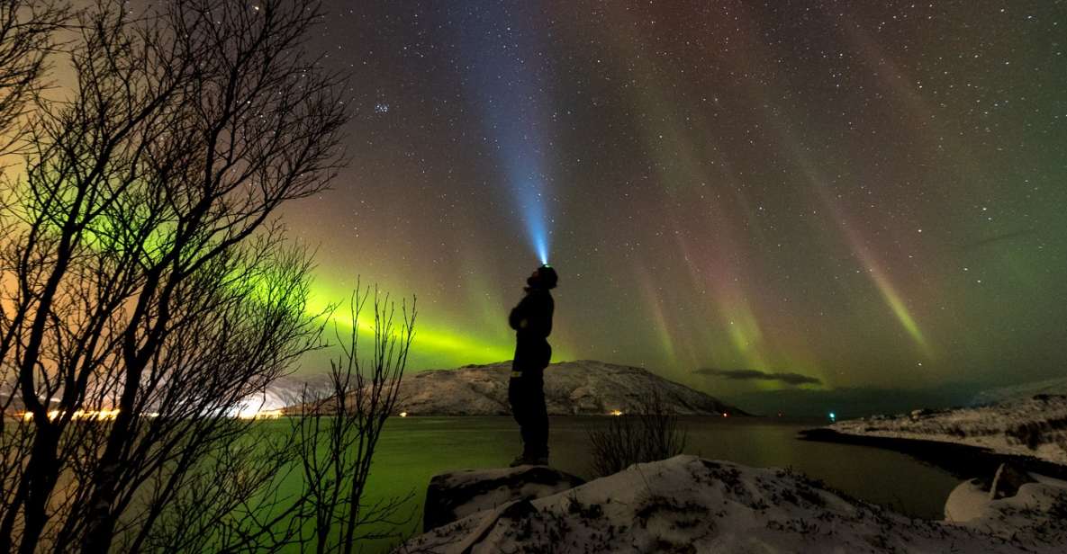 Northern Lights Tromsø - Small Group Tour With Local Guide - Clothing and Equipment
