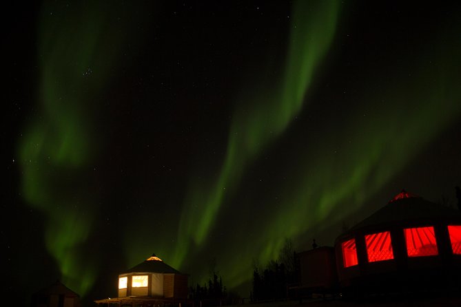 Northern Lights Viewing Including Dinner and 1-Hour Dog Sledding - Memorable Aurora Borealis Adventure