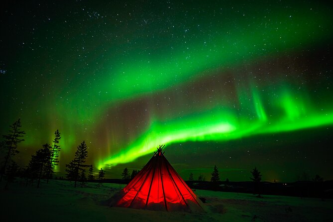 Northern Lights Wilderness Small-Group Tour From Rovaniemi - Pickup and End Points