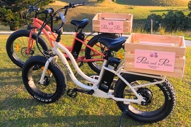 Northern Rivers Rail Trail Ebike and DIY Picnic Hire Full Day - Accessibility and Fitness Level