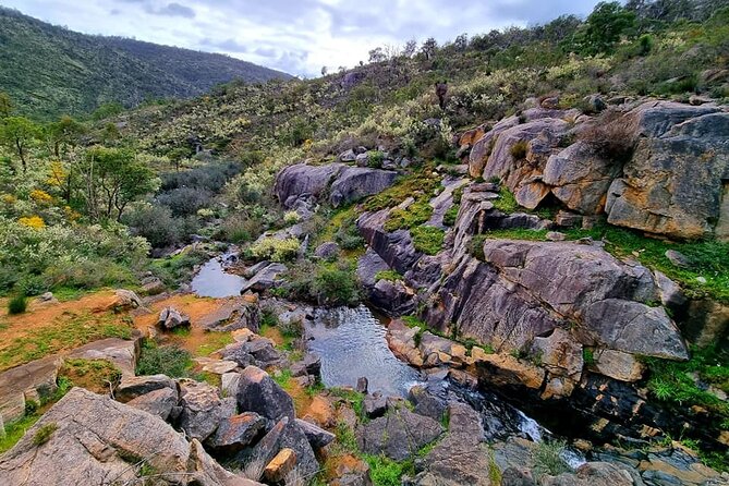 Numbat Trail Hiking Experience - Common questions