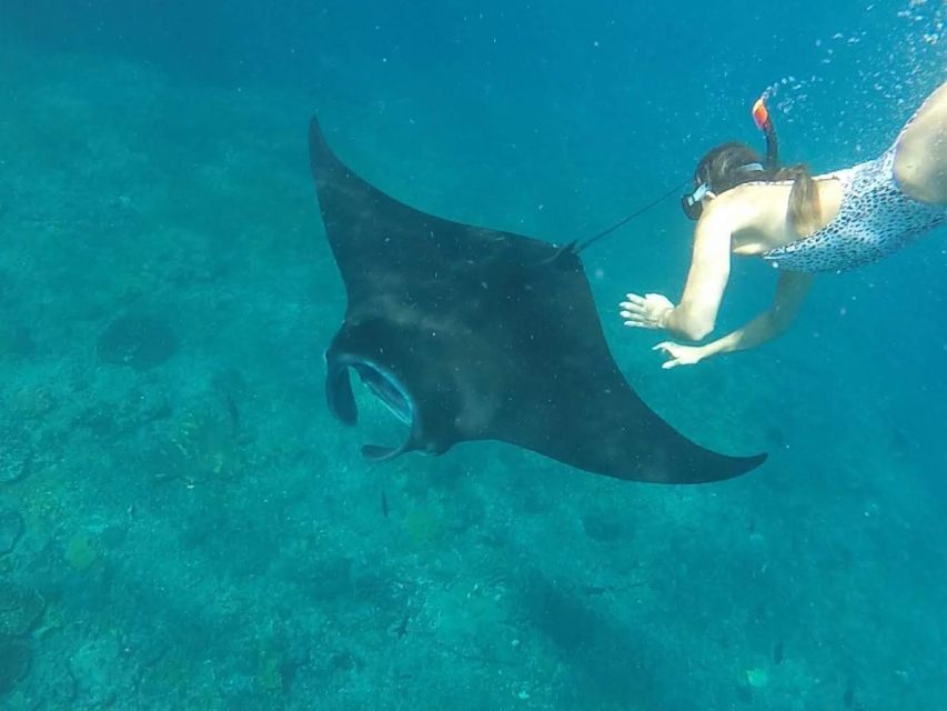 Nusa Penida: Guided Snorkel and Swim With Manta Rays Cruise - Customer Reviews