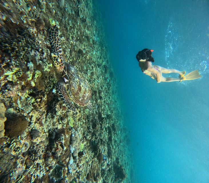 Nusa Penida Island - Sunset & Three Island Snorkelling Trip - Customer Testimonial Feedback