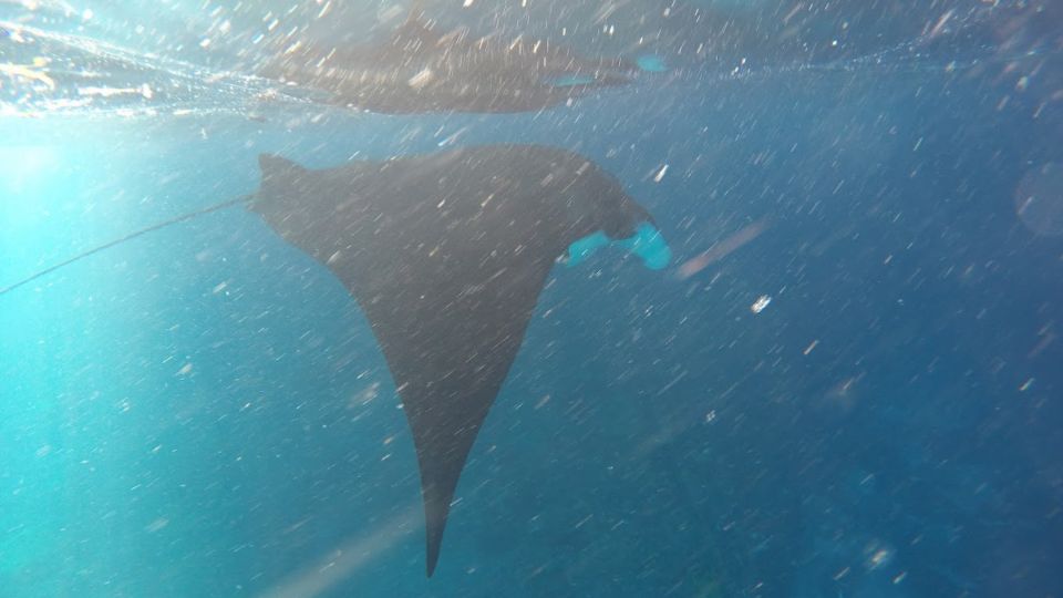 Nusa Penida: Snorkeling 3 Spots With Manta Options - Snorkel at Three Stunning Locations