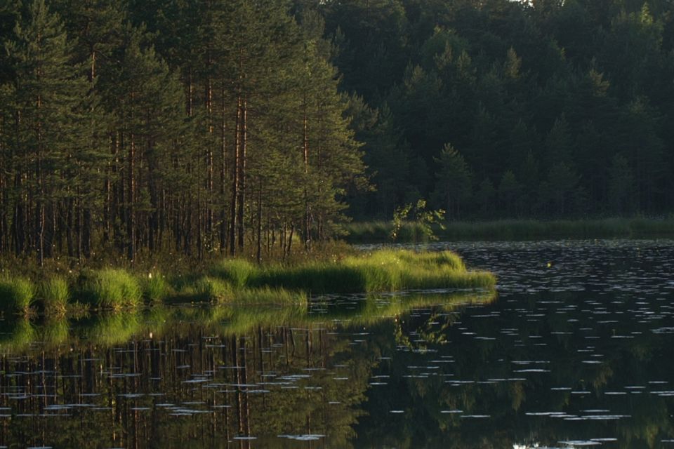 Nuuksio National Park: Half-Day Trip From Helsinki - Booking Information and Pricing