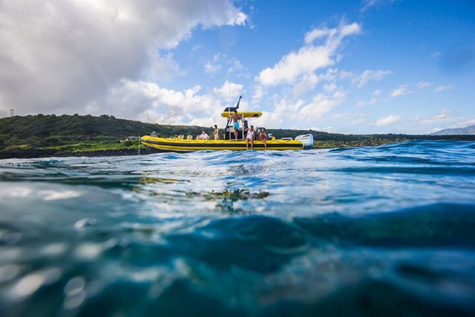 Oahu: North Shore Marine Life Tour From Haleiwa - Meeting Point and Price Details