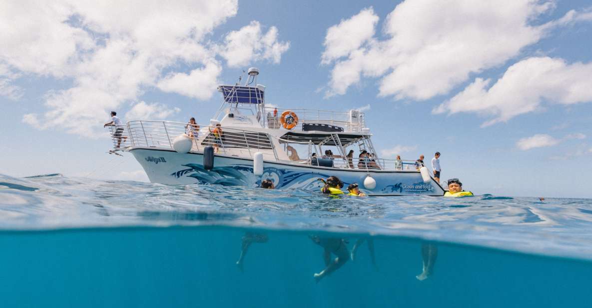 Oahu: Turtle Canyon Snorkeling & Hula Dance - Activity Highlights